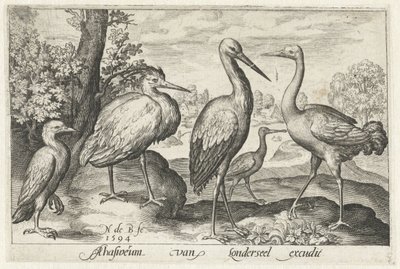 Stork, trane, hegre og skjestork Fugler og insekter (serietittel) av Nicolaes de Bruyn