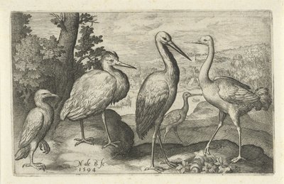 Stork, trane, hegre og skjestork Fugler og insekter (serietittel) av Nicolaes de Bruyn