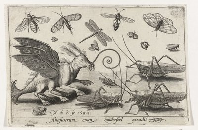 Gresshopper og fantasiskapninger med vinger og svømmehud Fugler og insekter (serietittel) av Nicolaes de Bruyn