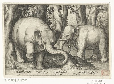 To elefanter Animalivm qvadrvpedvm (serietittel) Dyr i landskap (serietittel) av Nicolaes de Bruyn