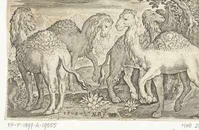 Fire dromedarer Animalivm qvadrvpedvm (serietittel) Dyr i landskap (serietittel) av Nicolaes de Bruyn
