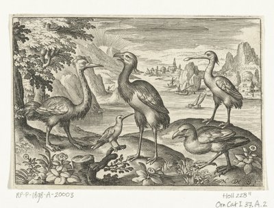 Fem fugler inkludert skjestork Fugler og insekter (serietittel) av Nicolaes de Bruyn