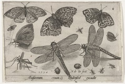 Sommerfugler og øyenstikkere Fugler og insekter (serietittel) av Nicolaes de Bruyn