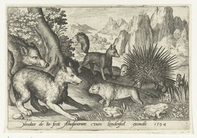Villsvin, rev, bever, piggsvin og frosker Animalivm qvadrvpedvm (serietittel) Dyr i landskap (serietittel) av Nicolaes de Bruyn