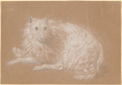 En langhåret hund som ligger av Nicolai Abildgaard