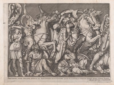Mirror of Roman Magnificence: Battle of the Amazons, 1559., 1559. av Nicolas Beatrizet