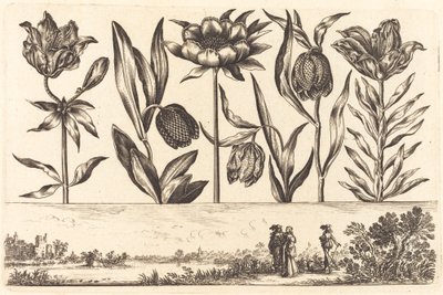 Blomstertrykk nr.11 av Nicolas Cochin after Balthasar Moncornet