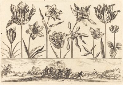 Blomstertrykk nr.2 av Nicolas Cochin after Balthasar Moncornet
