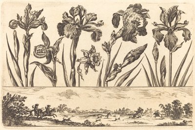 Blomstertrykk nr.3 av Nicolas Cochin after Balthasar Moncornet