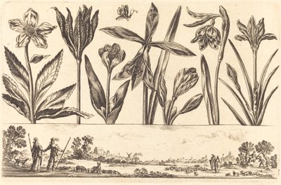 Blomstertrykk nr.4 av Nicolas Cochin after Balthasar Moncornet
