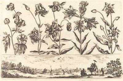 Blomstertrykk nr.6 av Nicolas Cochin after Balthasar Moncornet