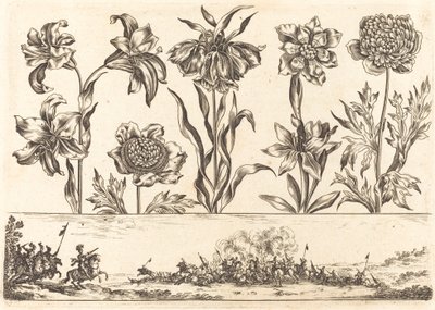 Blomstertrykk nr.8 av Nicolas Cochin after Balthasar Moncornet
