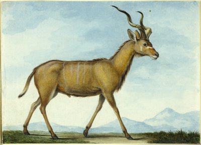  av Nicolas Hüet the Younger