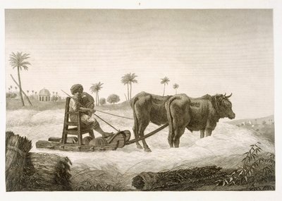 Harvesting Corn, fra bind II Arts and Trades av 