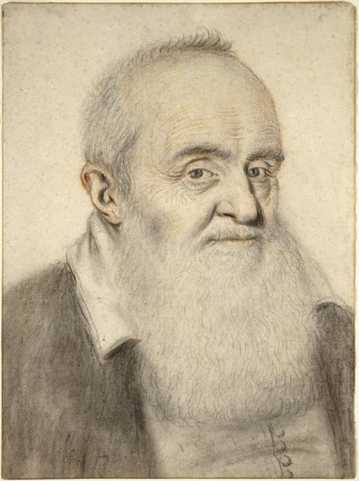 Hodet til en skjegget mann (farget kritt på papir) av Nicolas Lagneau or Lanneau