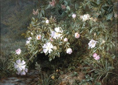 En studie av hunderoser, ca. 1900 (olje på lerret) av Niels Pieter Rasmussen