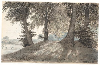 "Hoppebakke ved Nysø" av Niels Skovgaard
