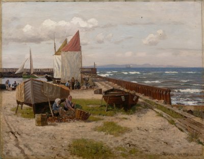 Ved kysten av Nils Hansteen
