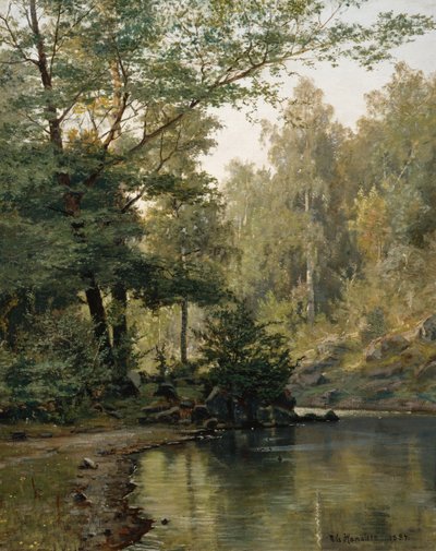  av Nils Hansteen