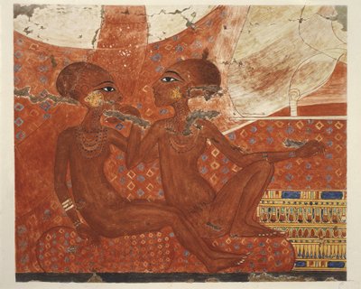  av Nina de Garis Davies