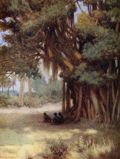 Under et Banyan Tree, Malekula Island, New Hebrides (fargemedlemmer) av Norman Hardy