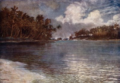 Av Reef og Palm (farge litho) av Norman Hardy