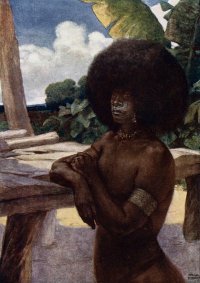Innfødt fra Britisk New Guinea, viser måten å bære håret på (farge litho) av Norman Hardy
