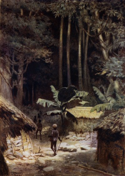 I utkanten av en urskog, Salomonøyene (farge litho) av Norman Hardy