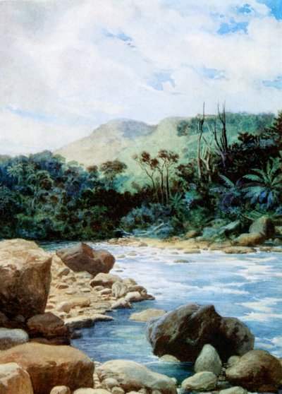 Landskap i Eromanga, New Hebrides, 1908 av Norman Hardy