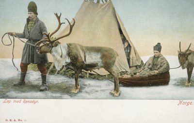 Laplandere med reinsdyr, Norge (fargebilde) av Norwegian Photographer