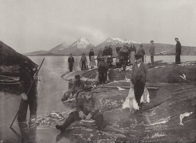 Vasking av Klip-fisk av Norwegian Photographer