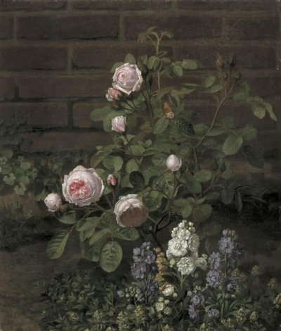 Et moserosetre omgitt av sommerblomster av O.D. Ottesen