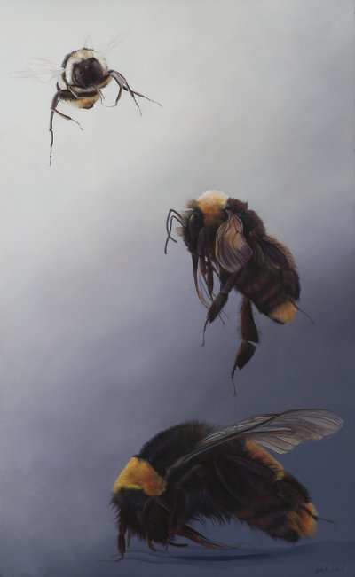  av Odile Kidd