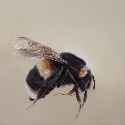  av Odile Kidd