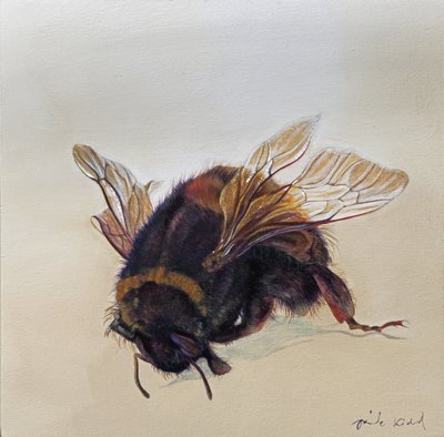  av Odile Kidd