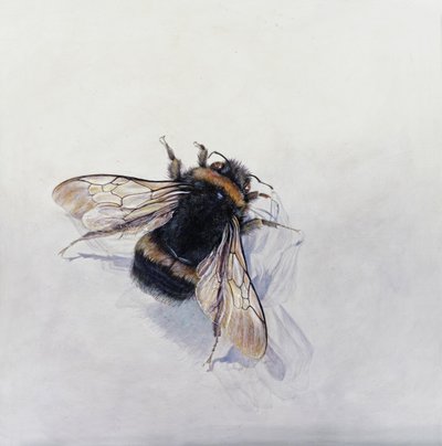  av Odile Kidd