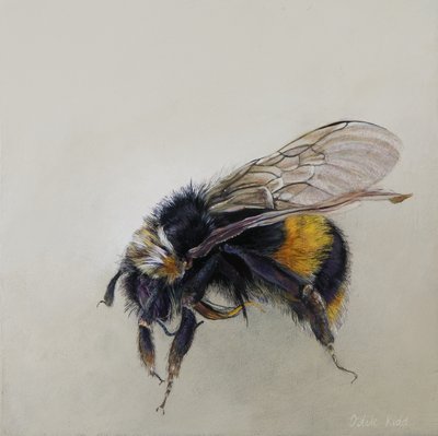  av Odile Kidd
