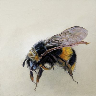  av Odile Kidd