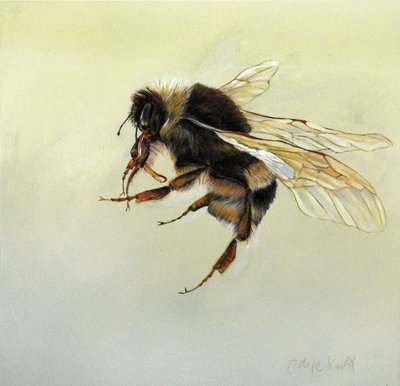  av Odile Kidd