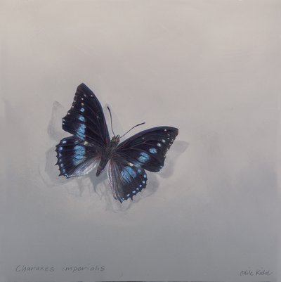  av Odile Kidd