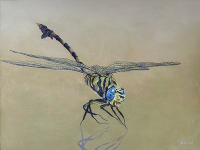  av Odile Kidd