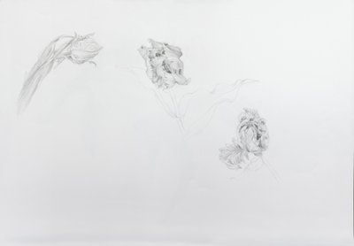  av Odile Kidd