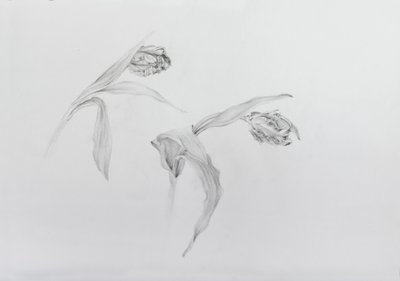  av Odile Kidd