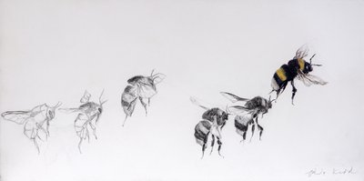  av Odile Kidd