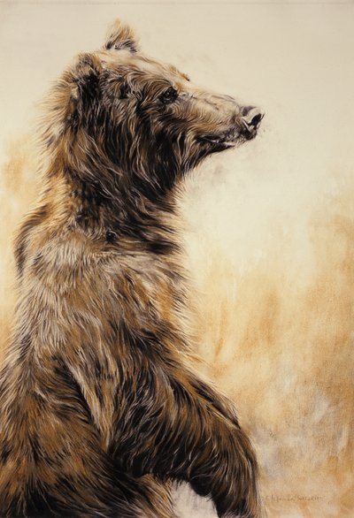  av Odile Kidd