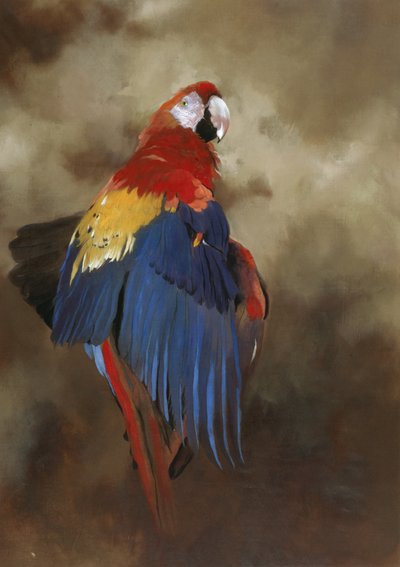  av Odile Kidd