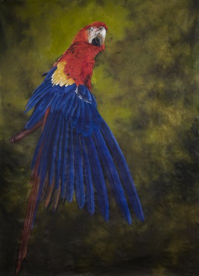  av Odile Kidd