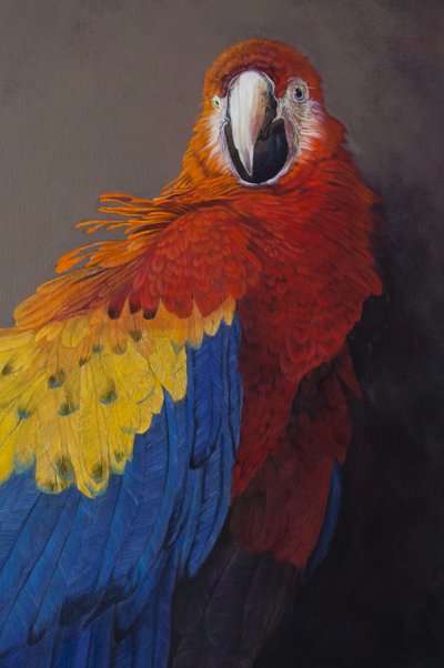  av Odile Kidd