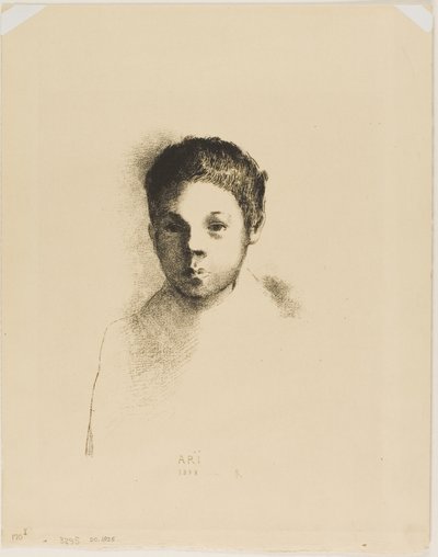 Også av Odilon Redon