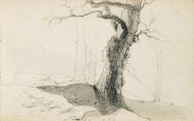 Tegning fra et album med tittelen "The Baskerland", 1862-63 av Odilon Redon
